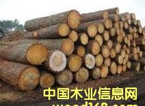 ��������ľԭľ��ľ