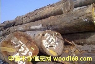 �����mԭľ