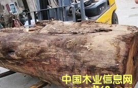 ����ڏ����黨��ľ2��