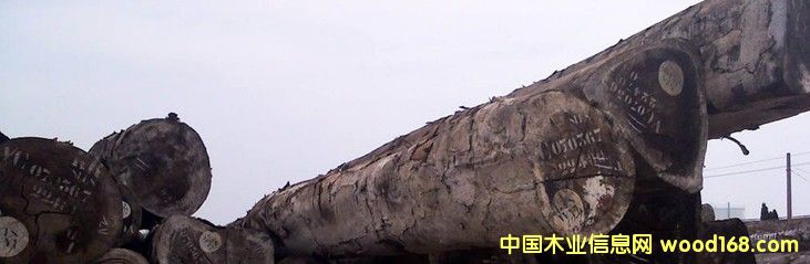 ����R���ǲ���ԭľ