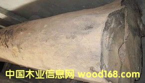 ���黨��ľԭľ���tľԭľ����ڏ�ԭľ