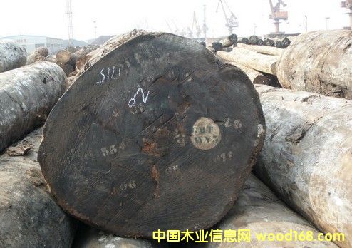 �M(j��n)�� �W�� ��ԭľ