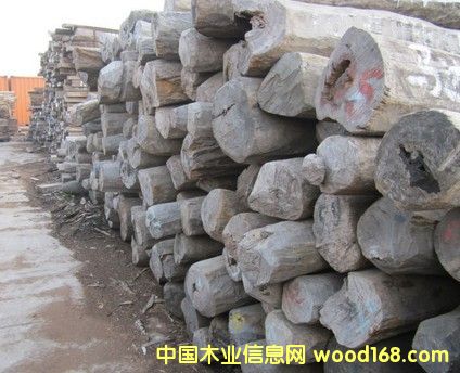 �M(j��n)�� �S��̴ ԭľ��Ԕ��(x��)��B