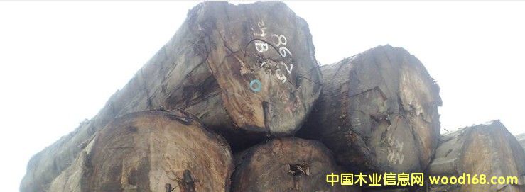 �M(j��n)�� ����ľ ԭľ