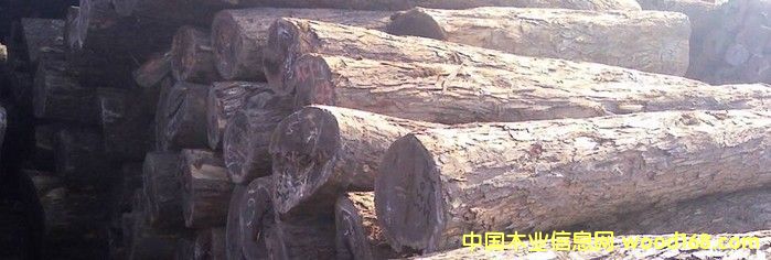 �M�� �t�F�� ԭľ