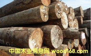 �M(j��n)�� ��ľ