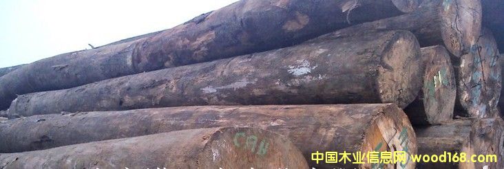 ���� ����