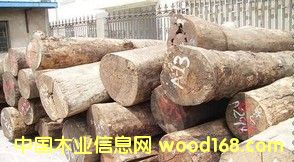 ���黨��ľԭľ����ڏ�1�����Ҿ�����tľ