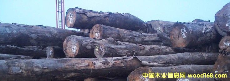 �M(j��n)�� ����ľ