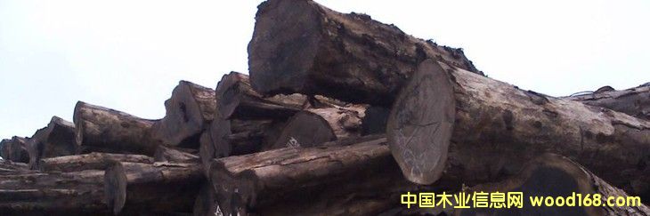 �M�� ���� ���F�� ԭľ