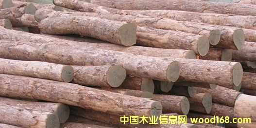 �����M(j��n)������ľ