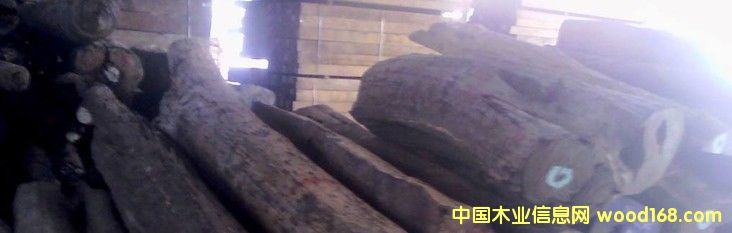 ��t��ֱ֦��������ֱ���_���