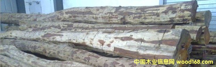 ��t��֦���ϣ���Ʒ���L��4��-8��