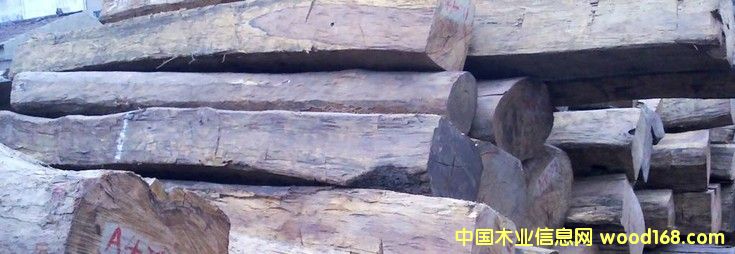 ������֦ ����֦