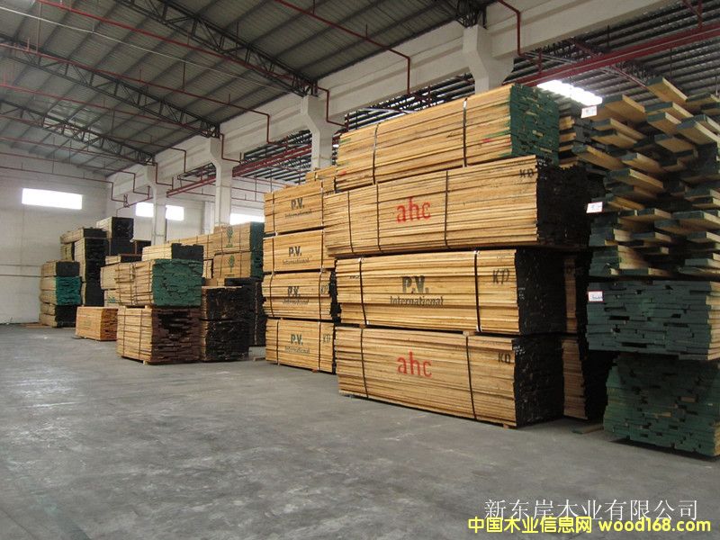 ����ľ��Ԕ����B