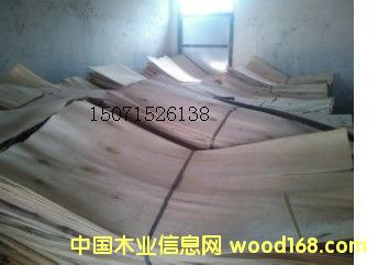 ��ľ��Ƥ��Ԕ��(x��)��B