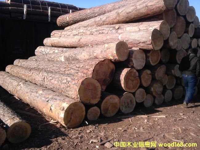 �|���������ԭľ���ľ����Ԕ��(x��)��B