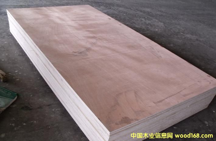 冰糖果的詳細(xì)介紹