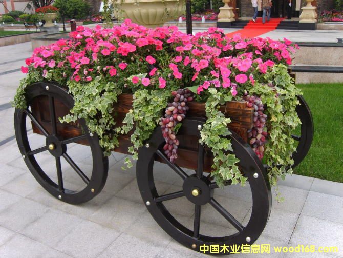 ��(sh��)ľ��܇��Ԕ��(x��)��B