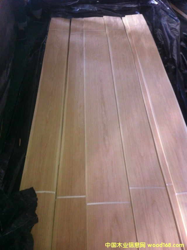 ����ɽ�y��Ԕ����B