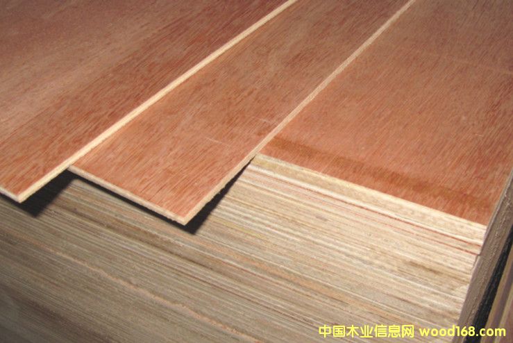 ��ľо���ǹ����z�ϰ��Ԕ����B