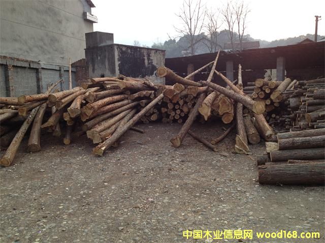 ɼľ��Ԕ��(x��)��B