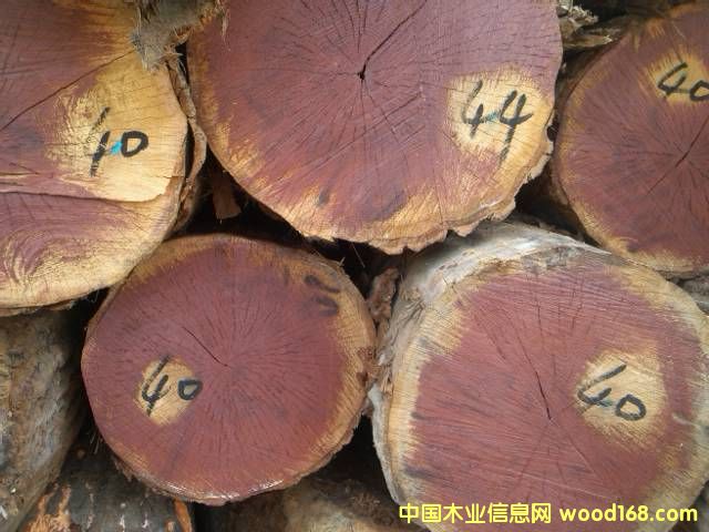 �t���Ԕ��(x��)��B