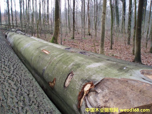 �W�ޙ�ľ���м�(j��)�e