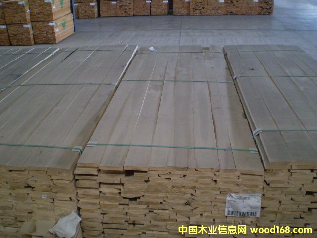 ����̫ƽ���ľ��Pacific Albus)