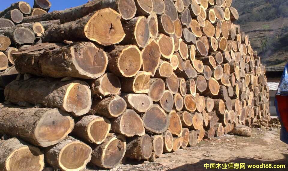 �S���ԭľ�����_(t��i)�������