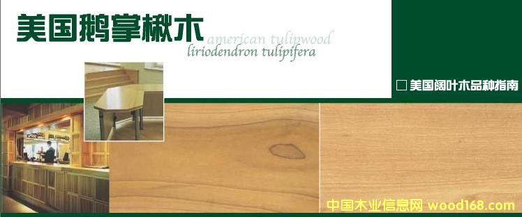 [��] �t��ľ������ľ����Ϟ?z��i)�������ľ���S��ľ