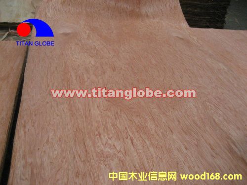 Face Veneer - Titan Globe