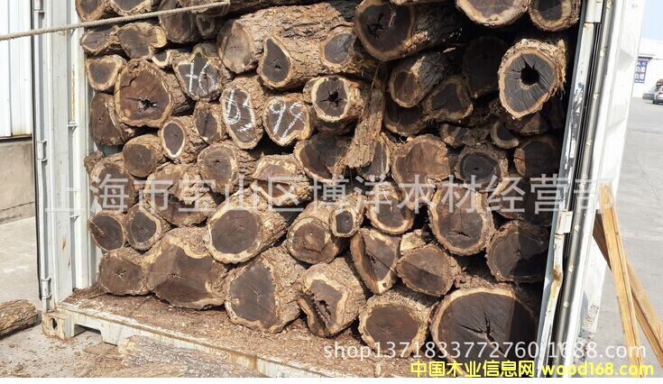 ����ľ��Ԕ����B