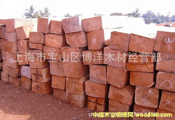 ���ѣ����޻����Ԕ����B