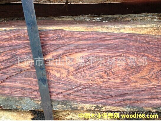 ���_�m��֦��Ԕ����B