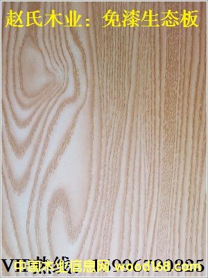 ��ɼľ�������B(t��i)���Ԕ��(x��)��B