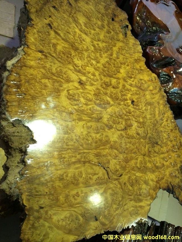 ���Ͻ�z骘�������Ԕ��(x��)��B