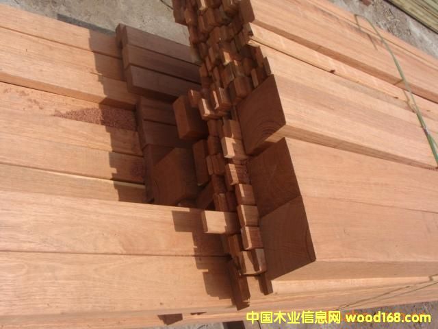 ����˹���T����˹