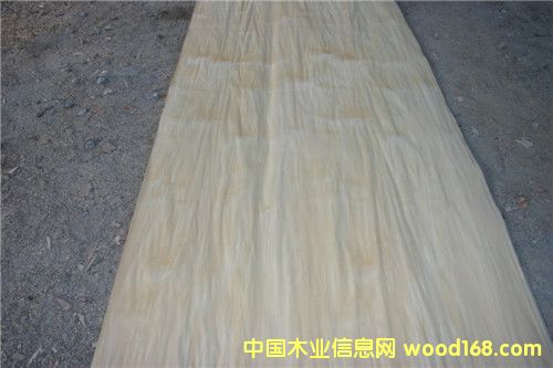 ��ľ��Ƥ��Ԕ��(x��)��B