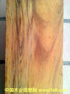 �S�����Ԕ��(x��)��B