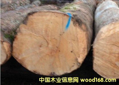 �����mӲ����Ԕ��(x��)��B