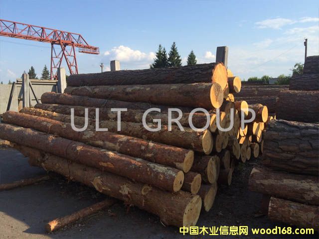 ������ԭľ��Ԕ��(x��)��B