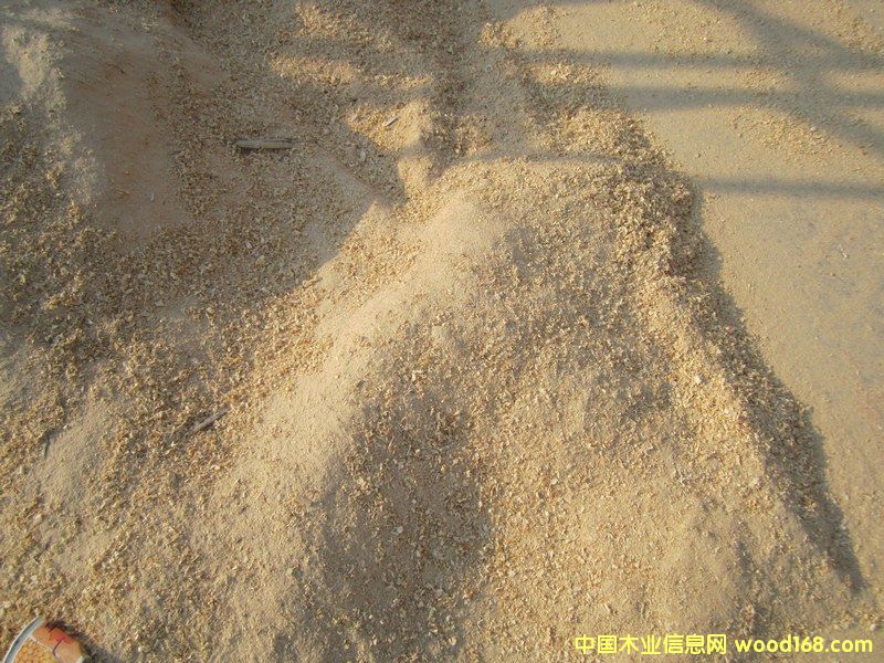 �ĩ2��Ԕ��(x��)��B