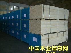 �������õė�ľLVL���Ӱ�