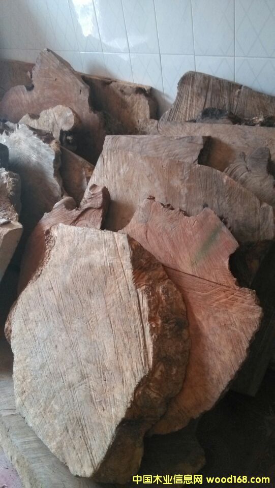 �S��骘��^���Ԕ��(x��)��B