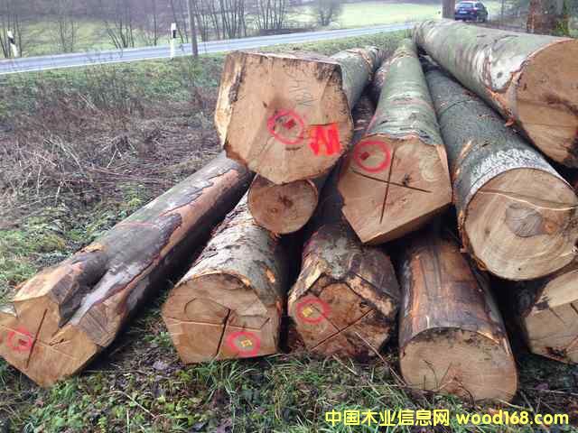 ��䏲ļ�(j��)��ľԭľ��Ԕ��(x��)��B