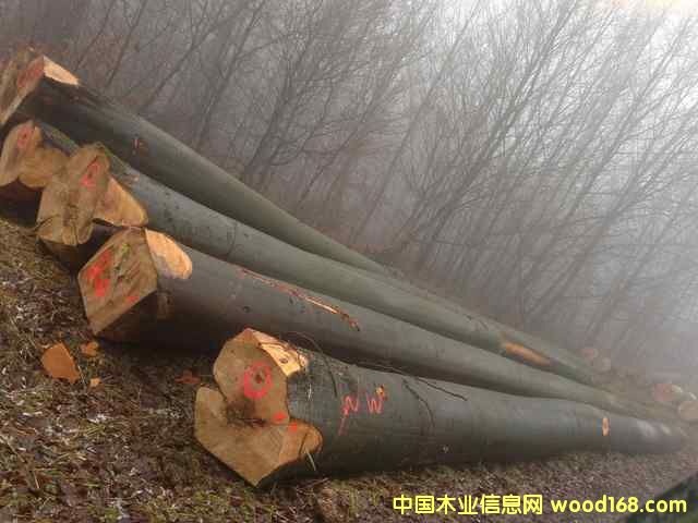 ���ЙC(j��)��ľԭľ��Ԕ��(x��)��B