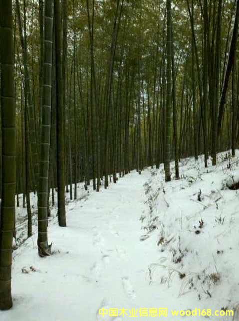 ��� ë�� ��Ƭ ��U ����Ʒ��Ԕ��(x��)��B