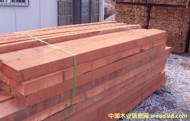 ɽ��ľ����Ƭ���Ԕ��(x��)��B