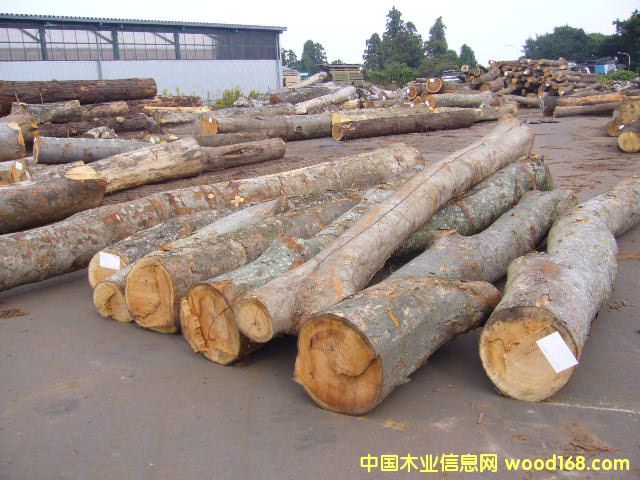 �ձ���ľԭľ��Ԕ����B